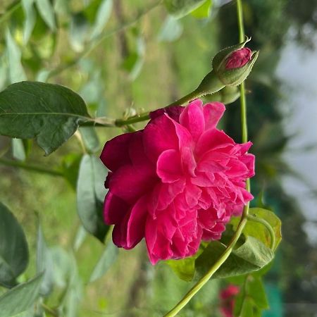 Chaitanya Farms Карджат Экстерьер фото